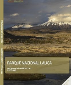 Alternative view of Parque Nacional Lauca