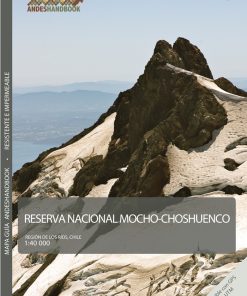 Alternative view of Reserva Nacional Mocho-Choshuenco