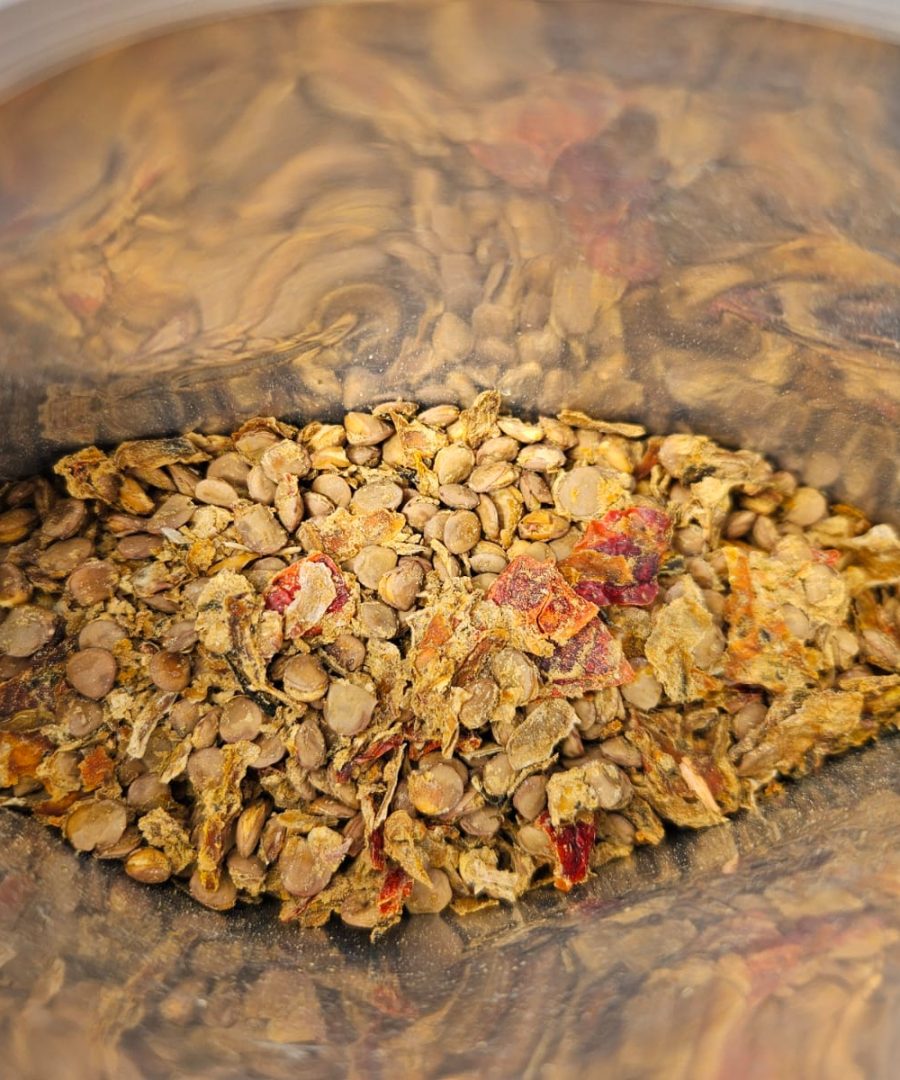 Guiso de lentejas, por Gufo Foods - Imagen 5